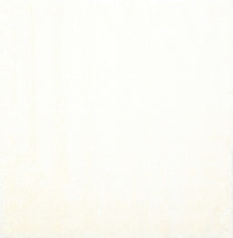 Contemporary Ivory White Solid Rug, con1024