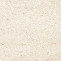 Sideview of Machine Washable Contemporary Blanched Almond Beige Rug, wshcon1025