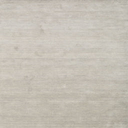 Sideview of Machine Washable Contemporary Pale Silver Gray Rug, wshcon1026