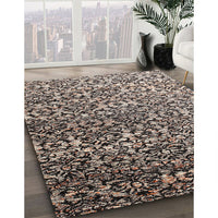 Contemporary Tan Brown Modern Rug, con1038