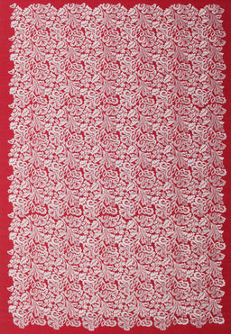Contemporary Red Modern Rug, con1043