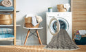 Machine Washable Contemporary Gray Rug in a Washing Machine, wshcon1048