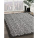 Machine Washable Contemporary Silver Gray Rug in a Family Room, wshcon1060