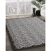 Contemporary Silver Gray Modern Rug in Family Room, con1060