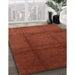 Contemporary Red Modern Rug in Family Room, con1064