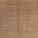 Sideview of Machine Washable Contemporary Light Brown Rug, wshcon1068