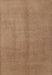 Contemporary Light Brown Modern Rug, con1068