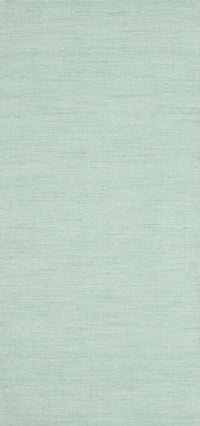 Machine Washable Contemporary Magic Mint Green Rug, wshcon1139