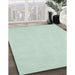 Contemporary Mint Green Modern Rug in Family Room, con1139