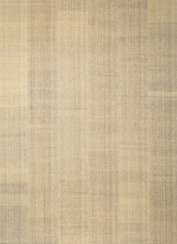 Contemporary Brown Gold Solid Rug, con1158