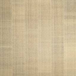 Sideview of Machine Washable Contemporary Brown Gold Rug, wshcon1158