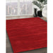 Contemporary Red Modern Rug in Family Room, con119