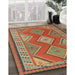 Contemporary Copper Green Oriental Rug in Family Room, con1208