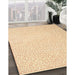 Contemporary Sandy Brown Modern Rug in Family Room, con1219