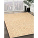Machine Washable Contemporary Sandy Brown Rug in a Family Room, wshcon1219