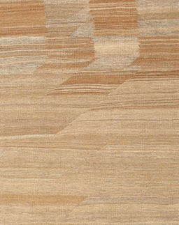 Contemporary Sandy Brown Modern Rug, con1246