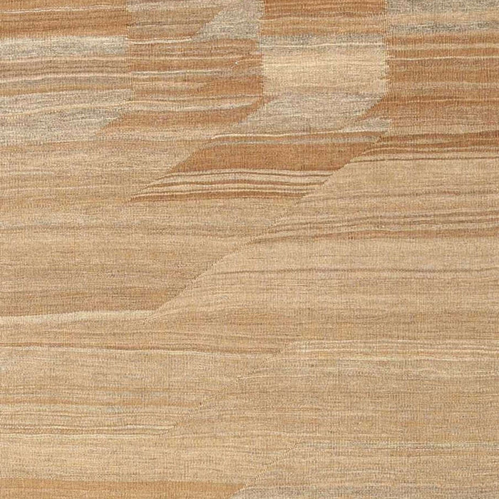 Contemporary Sandy Brown Modern Rug, con1246