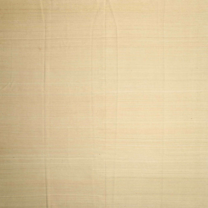 Square Contemporary Brown Gold Solid Rug, con1251