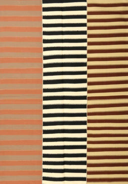 Machine Washable Contemporary Saddle Brown Rug, wshcon1258