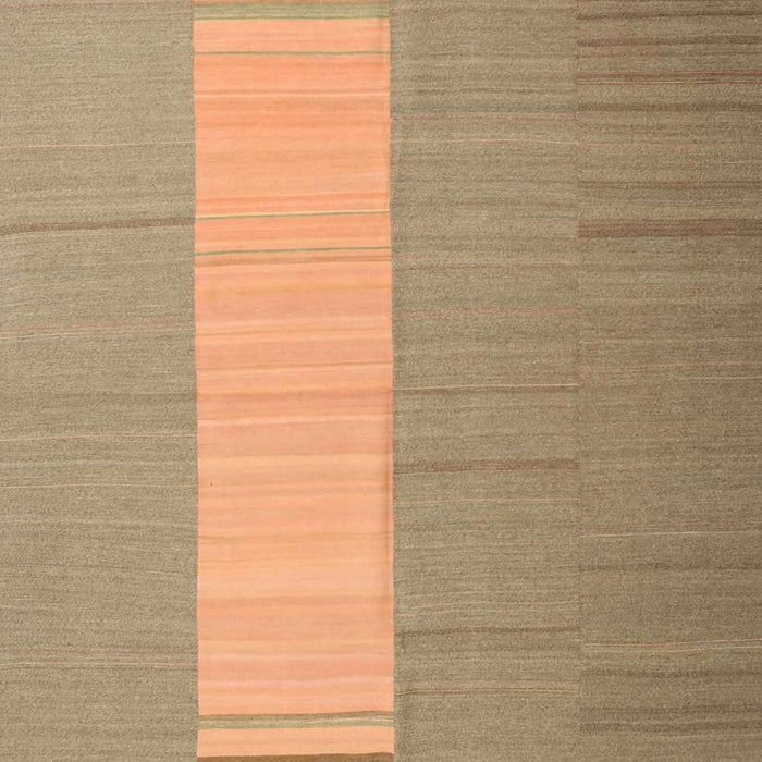 Contemporary Sand Brown Modern Rug, con1260