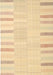 Contemporary Brown Gold Modern Rug, con1270