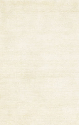 Machine Washable Contemporary Blanched Almond Beige Rug, wshcon127