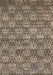 Contemporary Light French Beige Brown Modern Rug, con1299