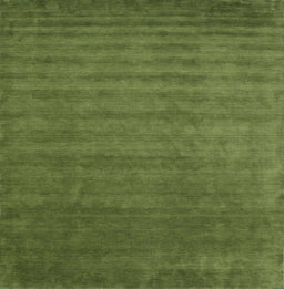Contemporary Seaweed Green Modern Rug, con1309