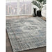 Machine Washable Contemporary Pale Silver Gray Rug in a Family Room, wshcon1314