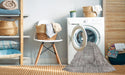 Machine Washable Contemporary Pale Silver Gray Rug in a Washing Machine, wshcon1330