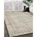 Contemporary Rosy Brown Pink Modern Rug in Family Room, con1341