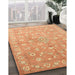 Contemporary Orange Modern Rug in Family Room, con1349