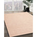 Contemporary Light Salmon Rose Pink Modern Rug in Family Room, con1353