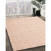 Machine Washable Contemporary Light Salmon Rose Pink Rug in a Family Room, wshcon1358
