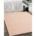 Contemporary Light Salmon Rose Pink Modern Rug in Family Room, con1358