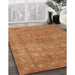 Contemporary Orange Modern Rug in Family Room, con1359