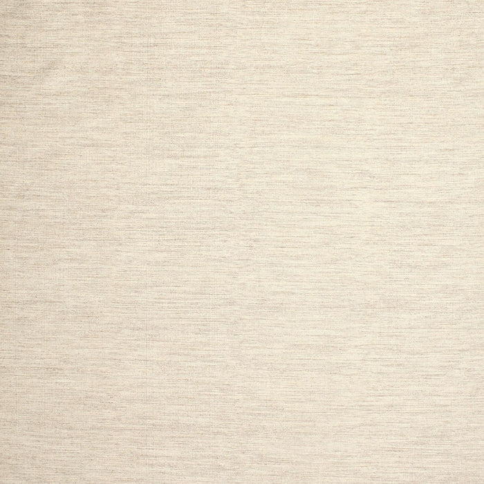 Contemporary Beige Solid Rug, con1370
