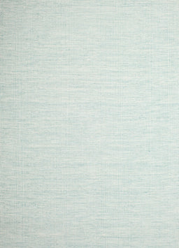 Contemporary Light Rose Green Modern Rug, con1373