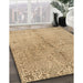 Contemporary Sandy Brown Modern Rug in Family Room, con1375