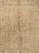 Contemporary Sandy Brown Modern Rug, con1375