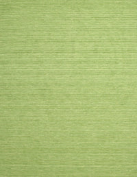 Machine Washable Contemporary Pistachio Green Rug, wshcon1389