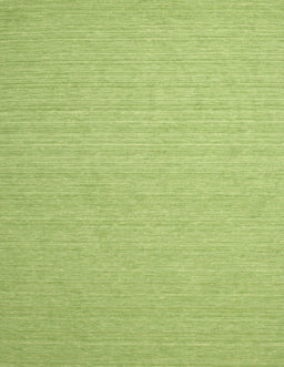 Machine Washable Contemporary Pistachio Green Rug, wshcon1389