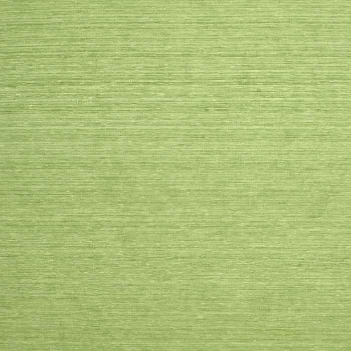 Machine Washable Contemporary Pistachio Green Rug, wshcon1389