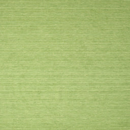 Sideview of Machine Washable Contemporary Pistachio Green Rug, wshcon1389