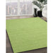 Contemporary Pistachio Green Modern Rug in Family Room, con1389