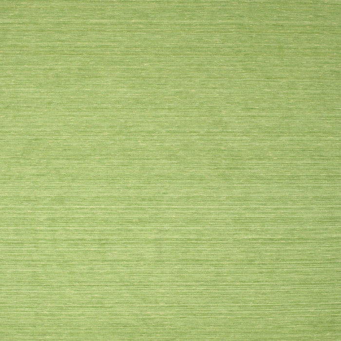 Square Contemporary Pistachio Green Modern Rug, con1389