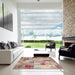 Square Machine Washable Contemporary Rust Pink Rug in a Living Room, wshcon1397