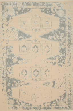 Contemporary Light French Beige Brown Modern Rug, con139