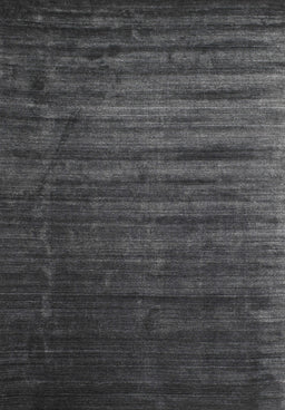 Contemporary Carbon Gray Modern Rug, con1419