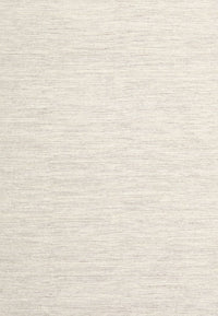 Machine Washable Contemporary Champagne Beige Rug, wshcon1432